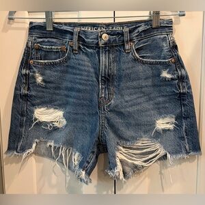 American Eagle 90’s Boyfriend Denim Shorts